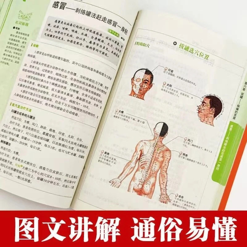 Серия «Целостное здоровье и бл – обзор и цена Therapy Health And Wellness