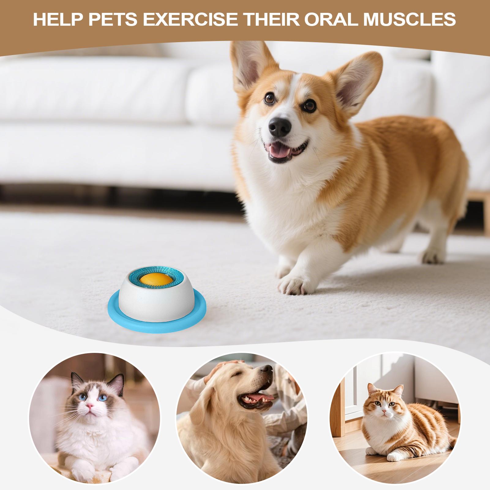 Игрушка-головоломка для собак: – обзор и цена Health Wellness Items